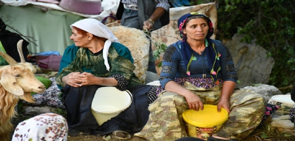 Şırnak`ta Berivanların Zorlu Mesaisi Başladı