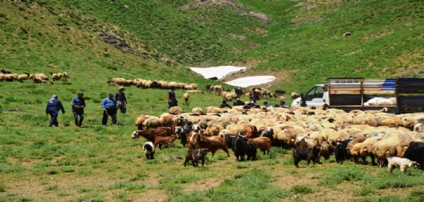 Çatışma sesleri yerini çocuk seslerine bıraktı