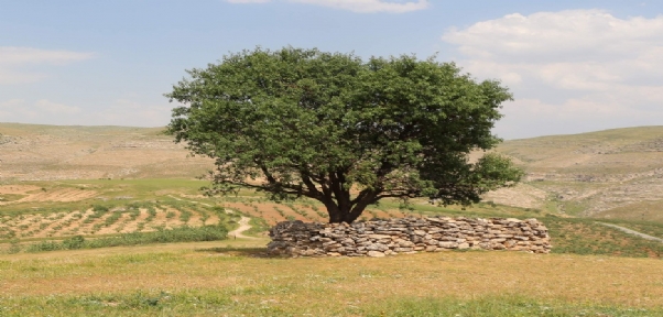 Korona Virüs Nedeni İle Ziyafet Veremeyen Köylüleri Korku Saldı