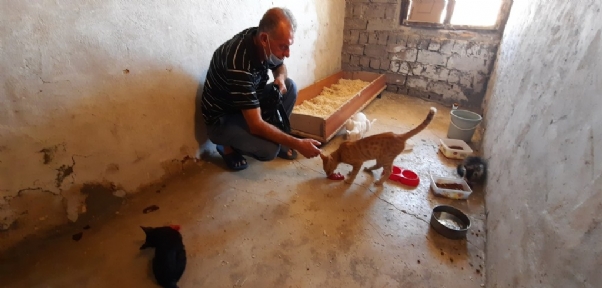 Evlerinin Bir Bölümünü Sokak Hayvanlarına Ayıran Çift, Mama Desteği Bekliyor