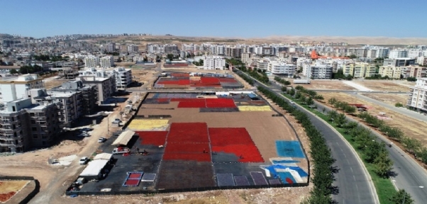 Tarladan Tezgaha İsot Serüveni