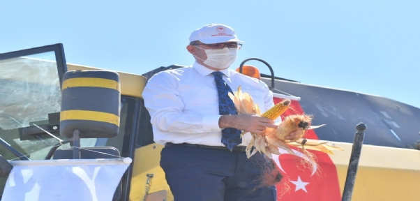 Diyarbakır`da mısır hasadı başladı