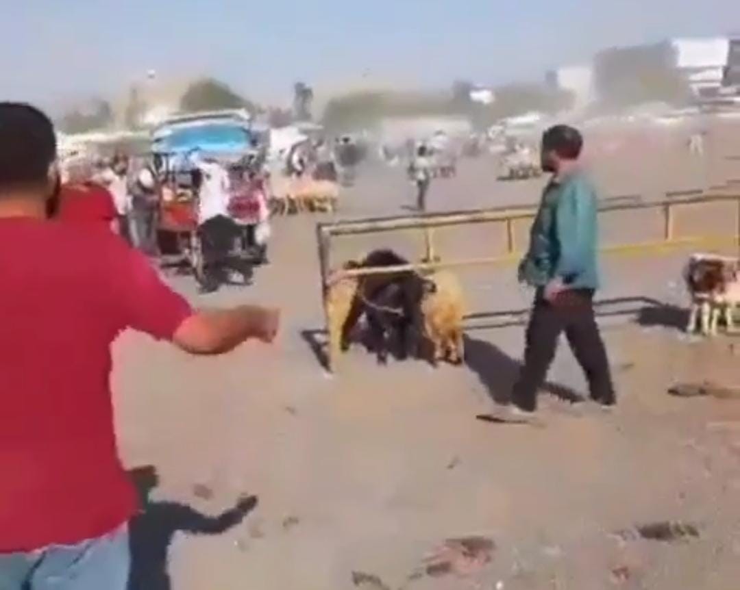 Kavgada korku ve panik anları