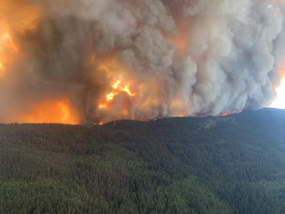 Kanada yanıyor: British Columbia'da acil durum ilan edildi