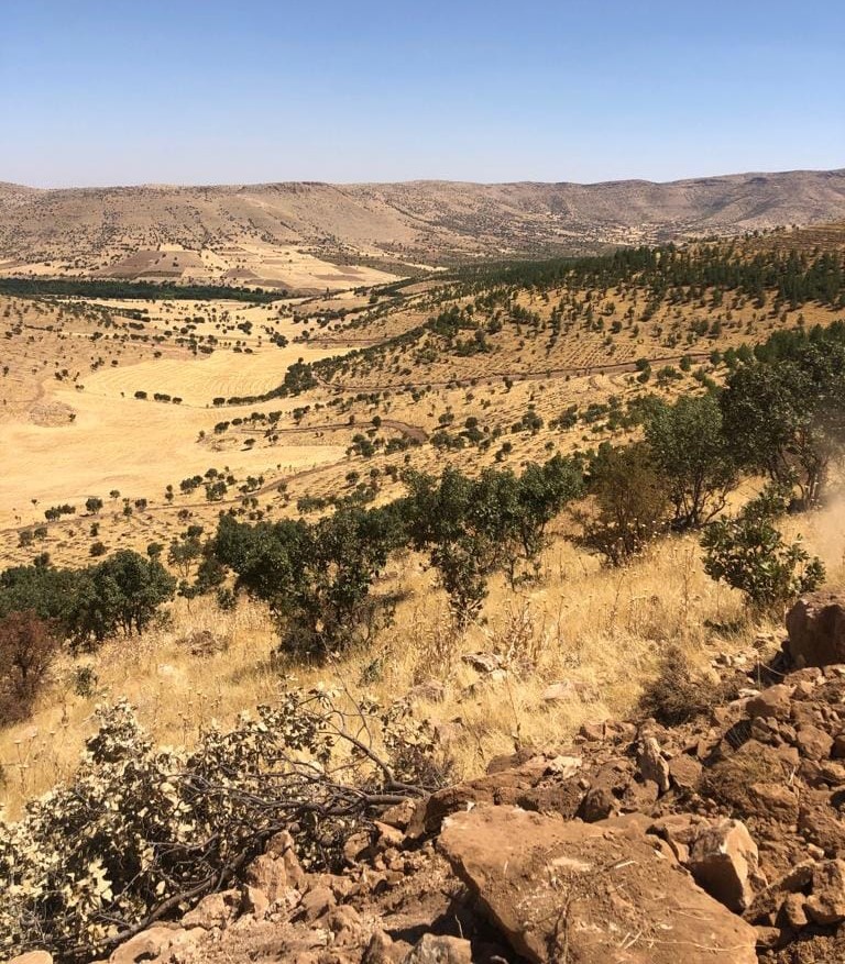 Mardin’de Yıl Sonuna Kadar 500 Bin Fidan Dikimi