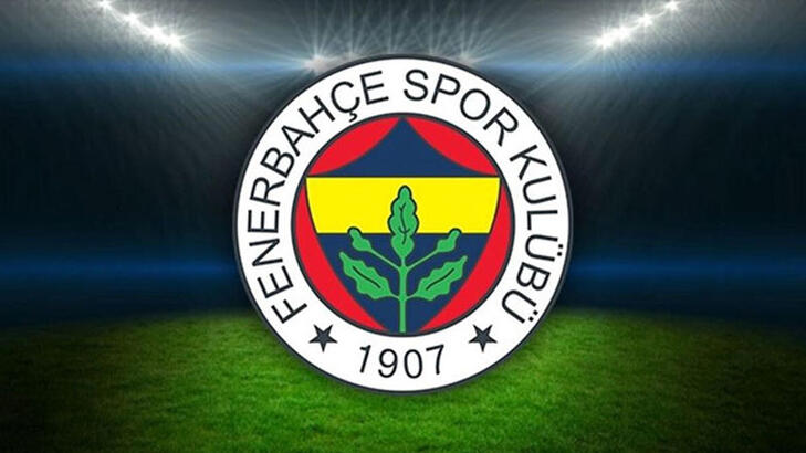 Fenerbahçe, Omar Fayed ve Jin-ho Jo'yu Novi Pazar'a kiraladı