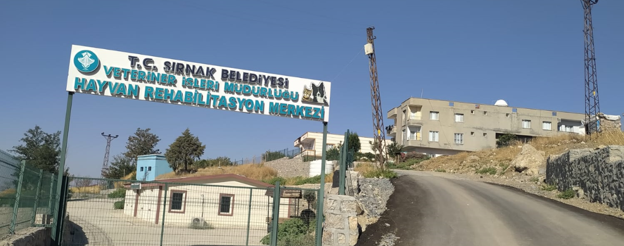 Şırnak’ta hayvan barınağına tepki
