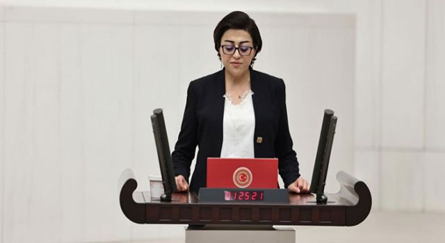 Şırnak-Hakkâri yolu meclis gündeminde