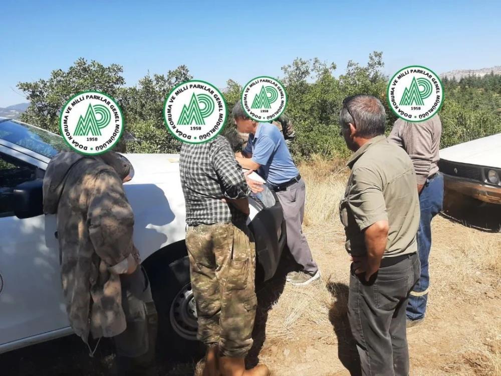 Kaçak avcılara 41 bin 267 TL para cezası