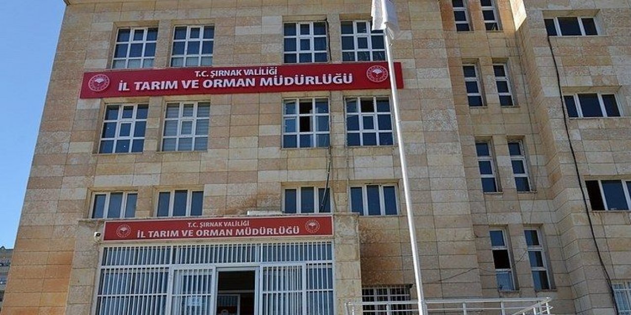 Tarım İl Müdürlüğünden  çiftçilere sertifikalı tohum dağıtımı duyurusu