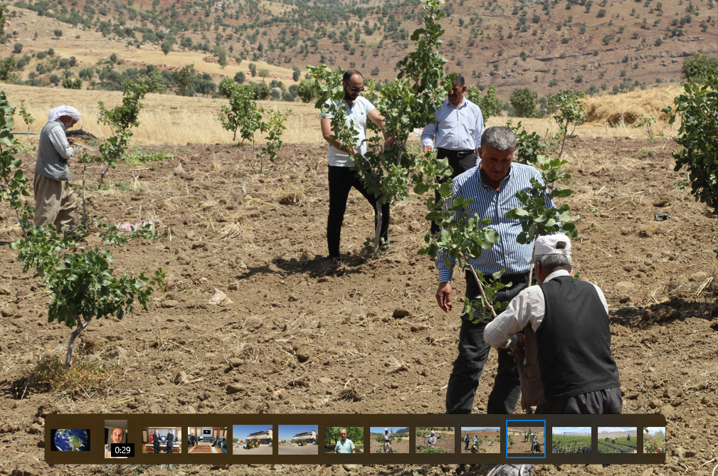 Şırnak’ta boşaltılan köyler fıstık bahçeleri ile yeniden hayat buluyor