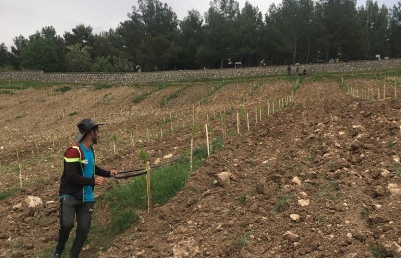 Adıyaman’da kadın çitçilere modern badem bahçesi