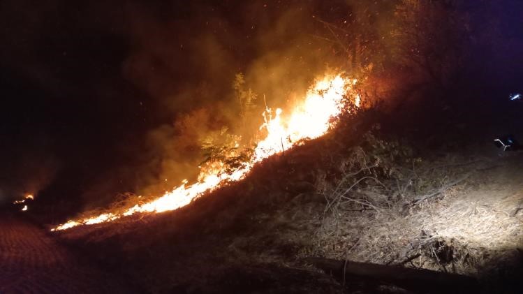 Yangın yola sıçradı, tren seferi durdu