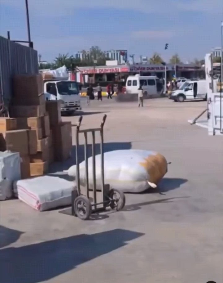 Ortalık  savaş alanına döndü:1 ölü,12 yaralı