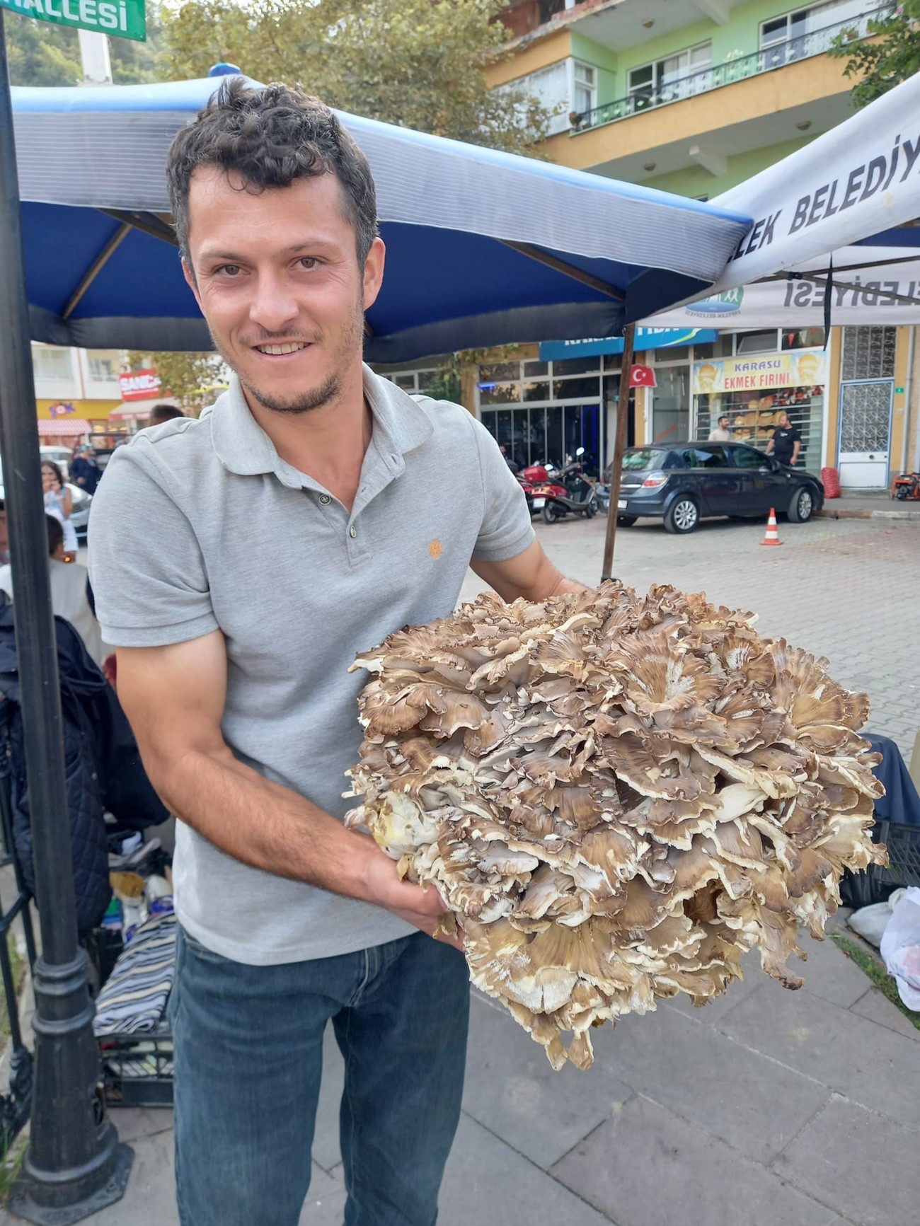 kuzu büyüklüğünde mantar !