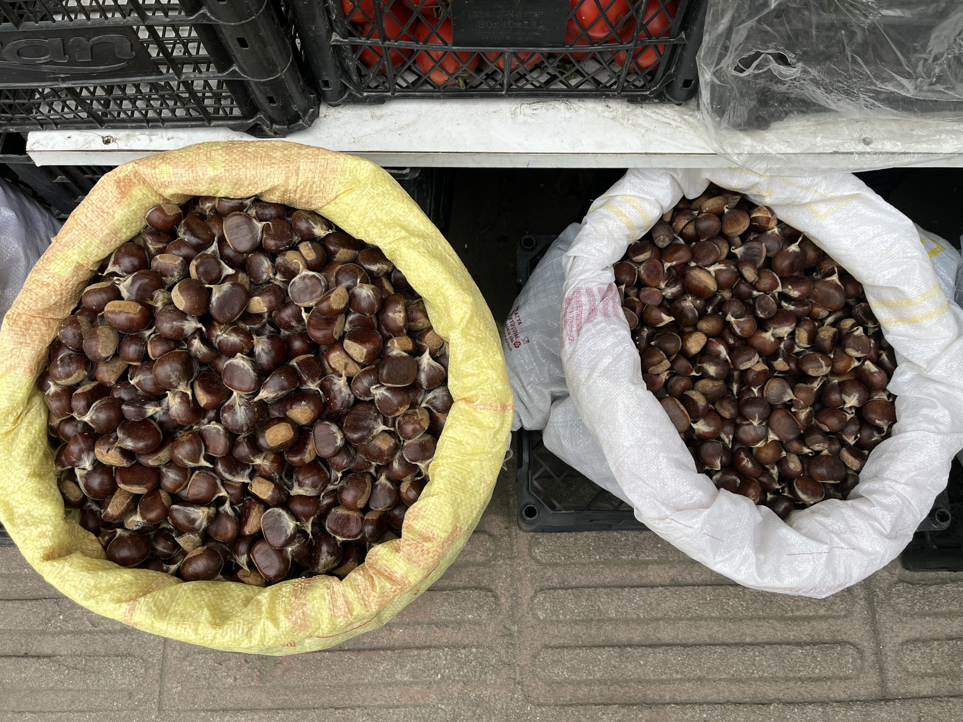 Kestane fiyatları cep yakıyor: Kilosu 300 lira