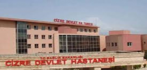Cizre Devlet Hastanesine kaç doktor atandı ?