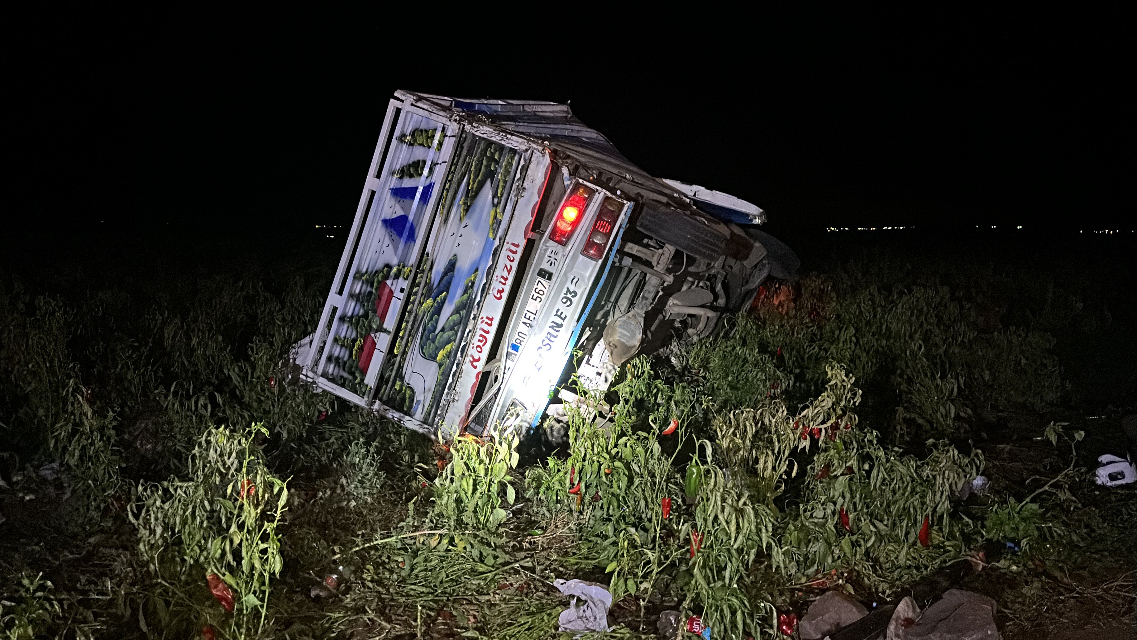 Tarım İşçilerini taşıyan Kamyonet Takla Attı: 20 Yaralı