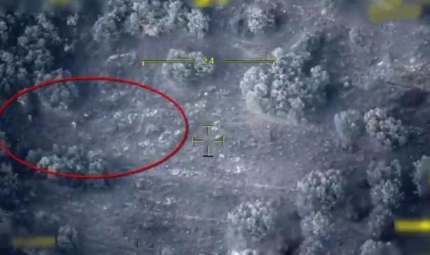 Şırnak’ta  1 PKK'lı yakalandı