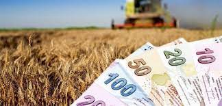 Tarımsal Destek Müjdesi bugün hesaplara yatıyor!
