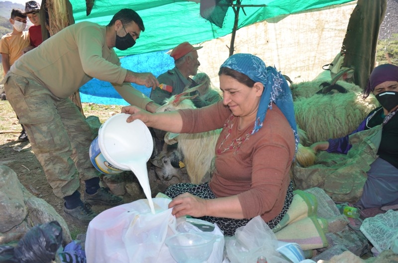 Berivanlar, Şırnak yaylalarında süt sağımına başladı