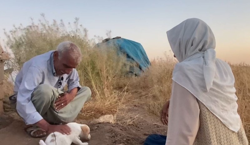 ÇOCUĞU OLMAYAN YAŞLI ÇİFT ÖLEN KÖPEKLERİ İÇİN GÖZYAŞI DÖKTÜ