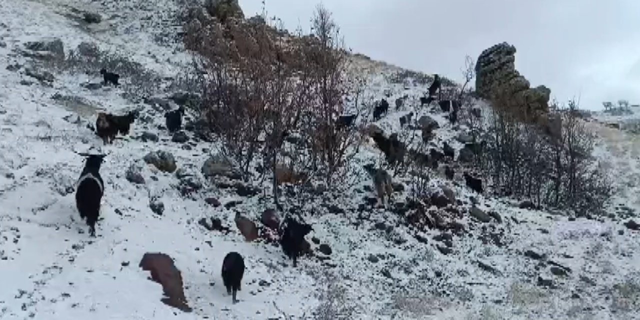 Göçerler sürülerini tipi nedeniyle güçlükle köye ulaştırıldı