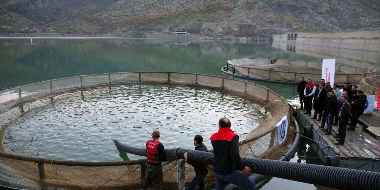 Şırnak'ta  Hedef 30 Ton Balık