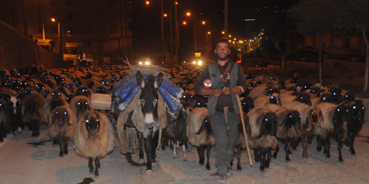 Cizre’de gecenin sessizliği kuzu ve koyunların ayak sesleri ile yankılandı