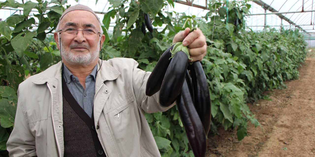 Yazın 5TL'ye Satmadı Şimdi Üç katı fiyatına 17 TL'ye satıyor