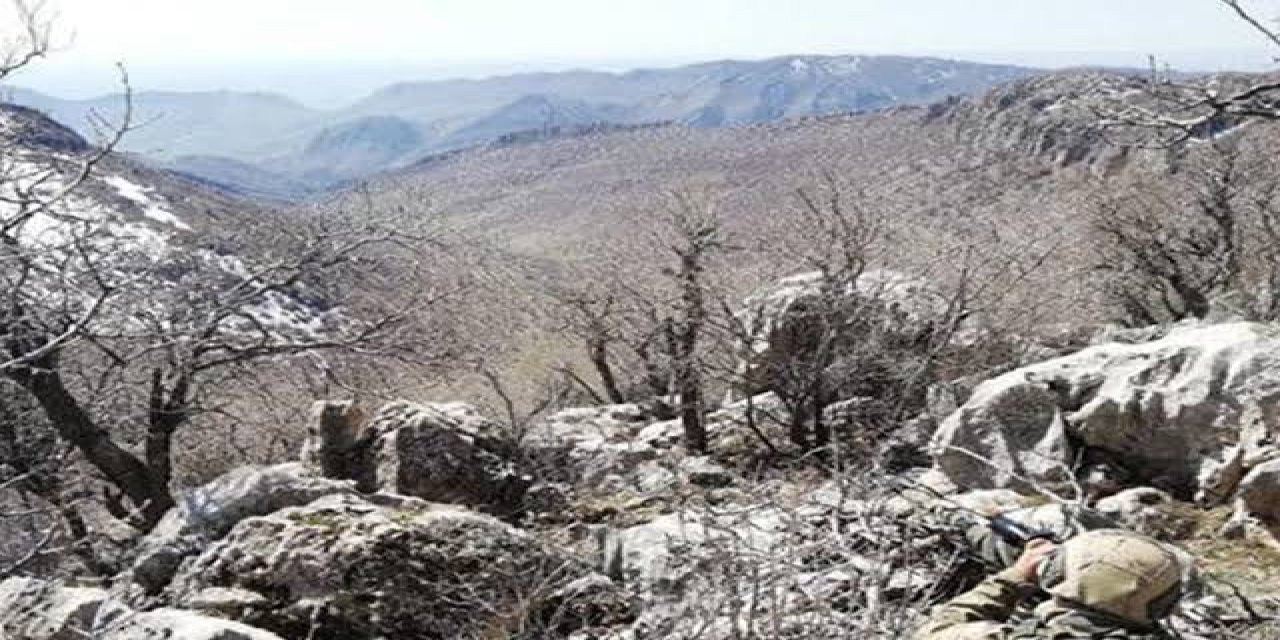 Şırnak’ta Terör Operasyonu: 5 gözaltı