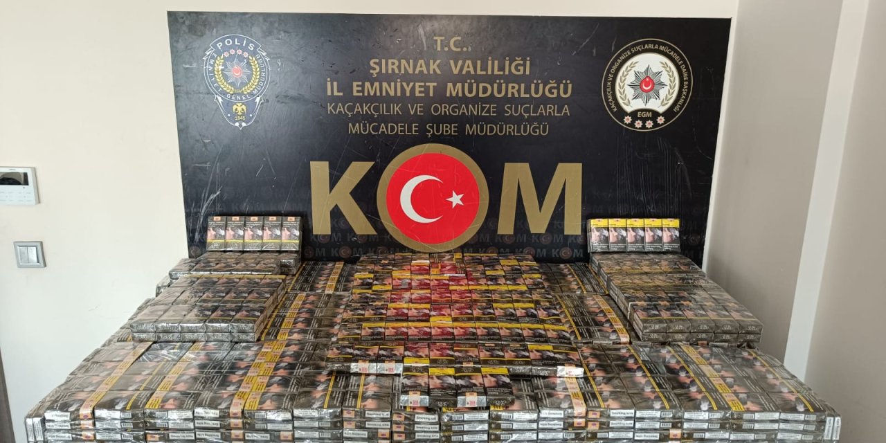 Şırnak'ta kaçakçılık ve asayiş operasyonu: 3 tutuklama, 119 gözaltı