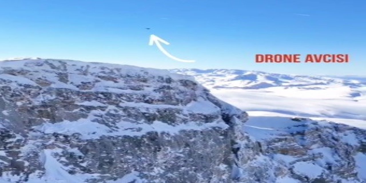 Drone Avcısı Kartal