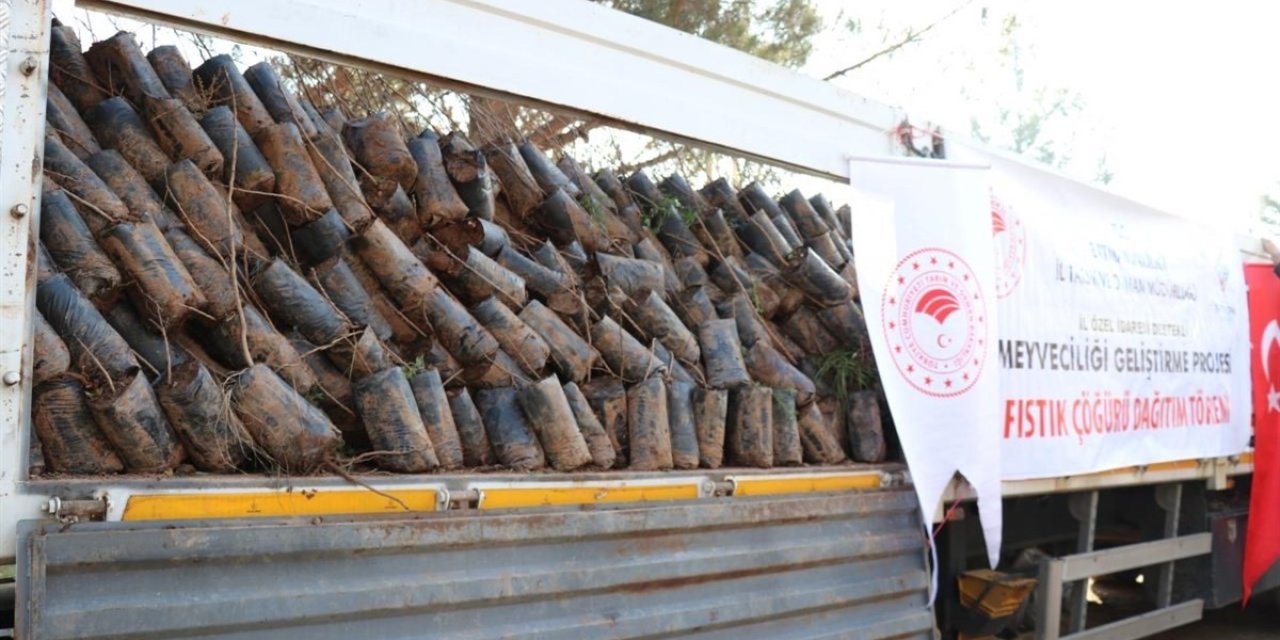 Ağaçlandırma için o İl'e 38 milyon liralık destek