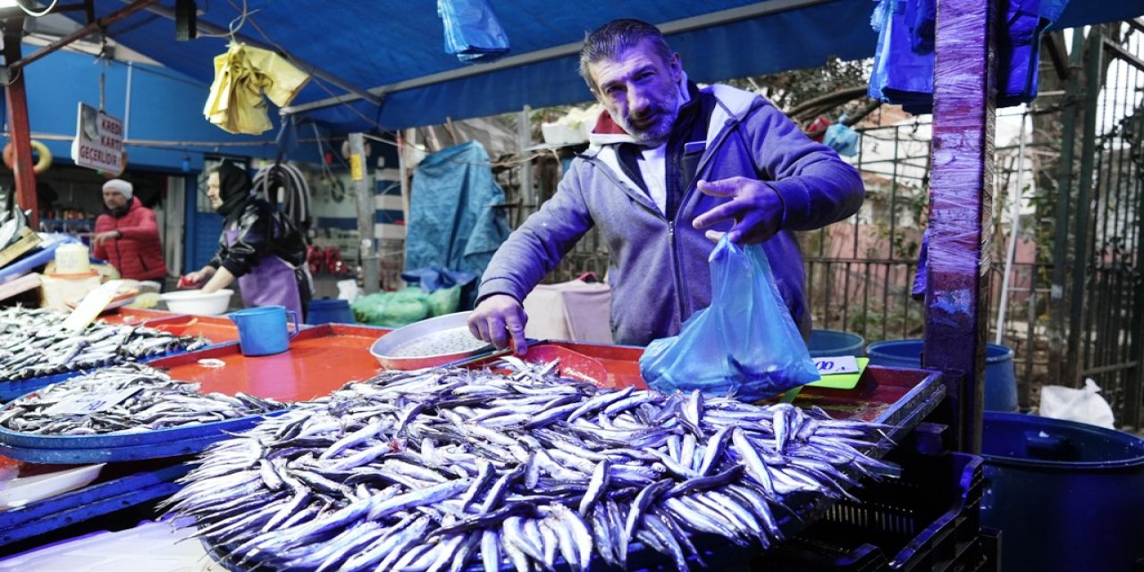 Hamsideki bolluk fiyatları düşürecek mi?