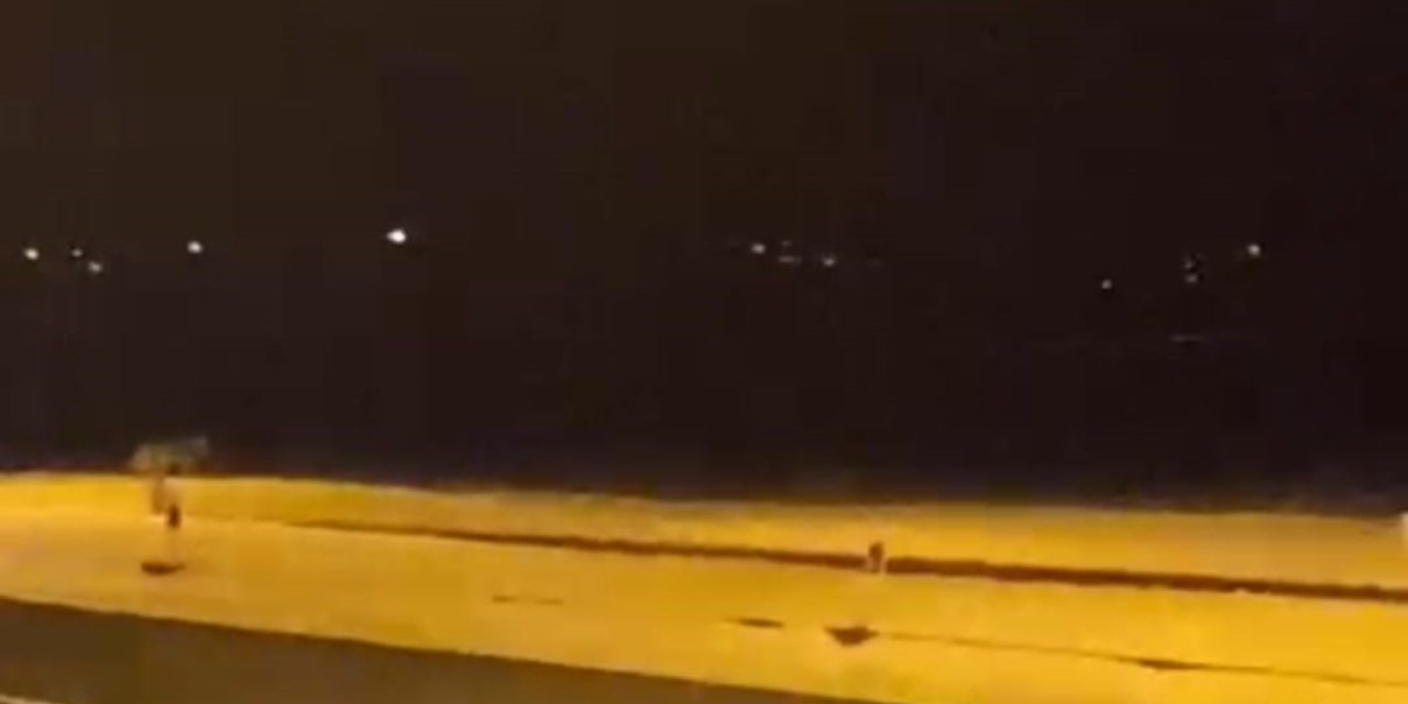 Kurtlar aç kalınca sokaklara indiler