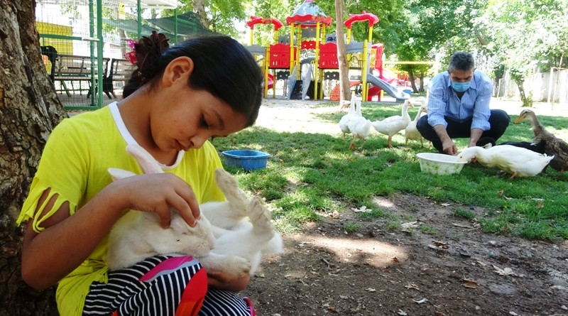 Mahalle muhtarı, çocuklar için mini hayvanat bahçesi yaptı