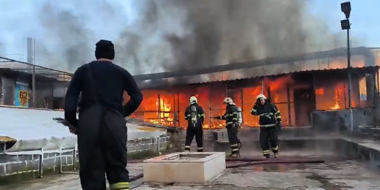Diyarbakır’da  600 güvercin alevler içinde yandı