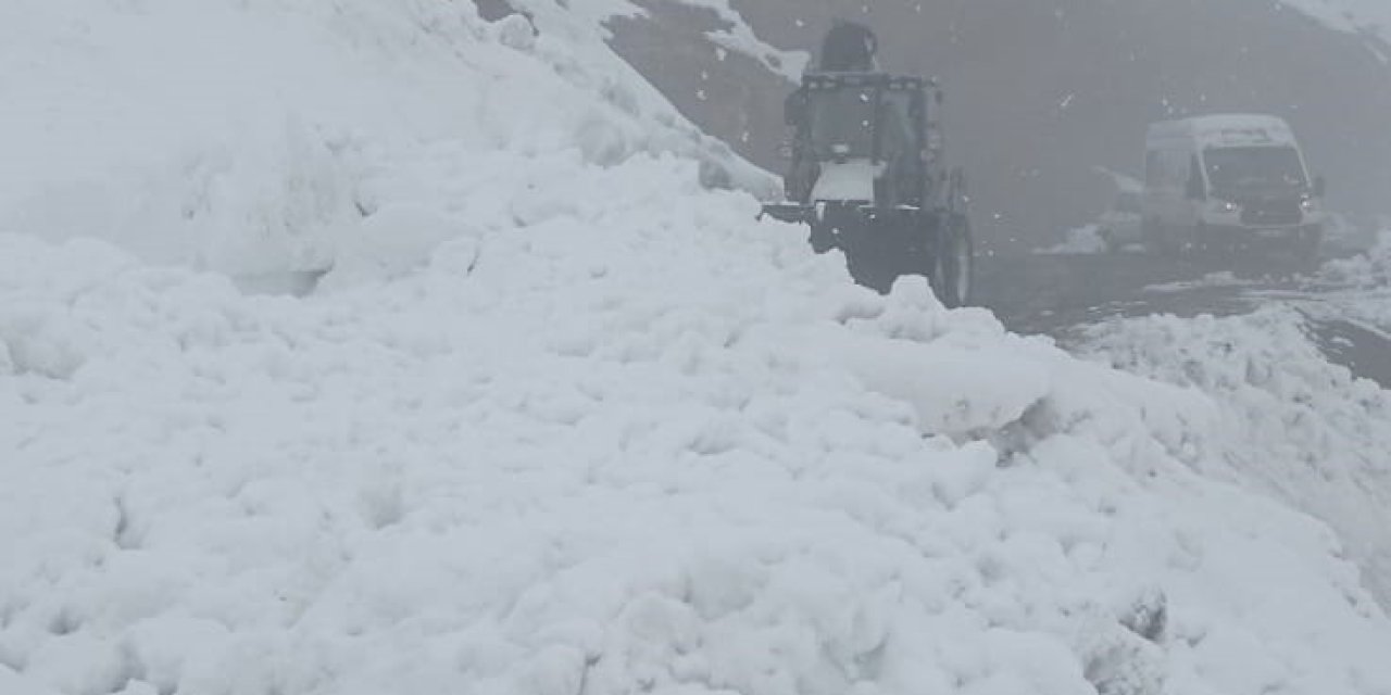 Şırnak'ta çığ nedeniyle kapanan Tanin Geçidi ulaşıma açıldı