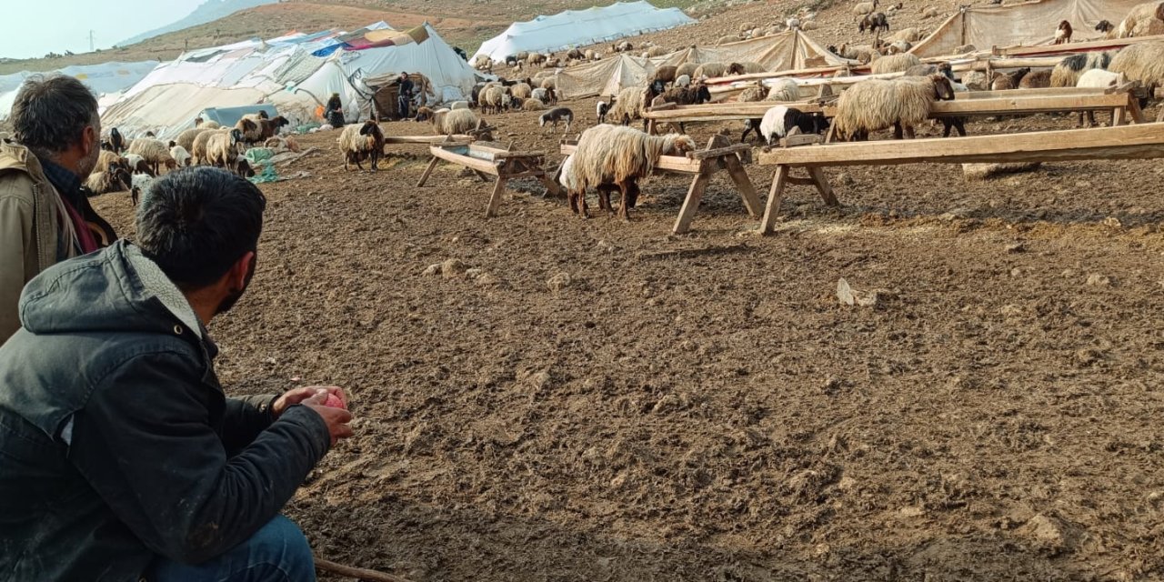 Bitlis’ten Şırnak’a gelen hayvan besicilerinin zorlu kış mesaisi