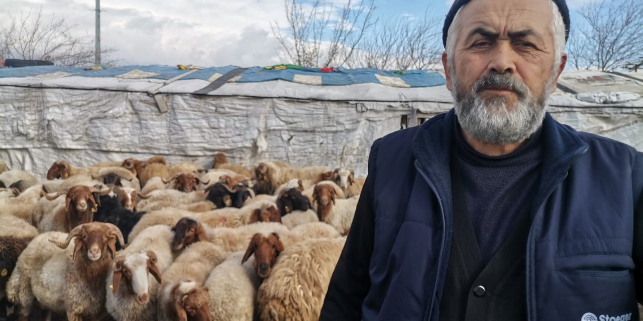 Sürüsüne 30 Bin Maaşla Çoban Arıyor!