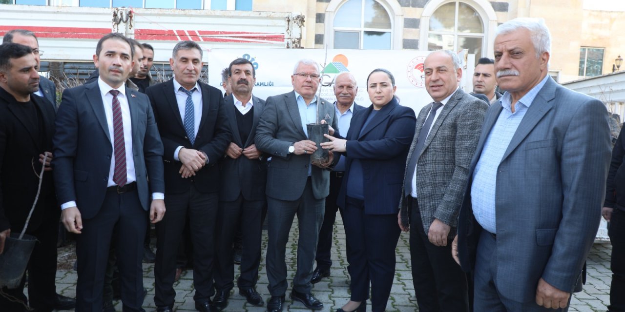 Cizre’de Üreticilere Fıstık Fidanı dağıtıldı
