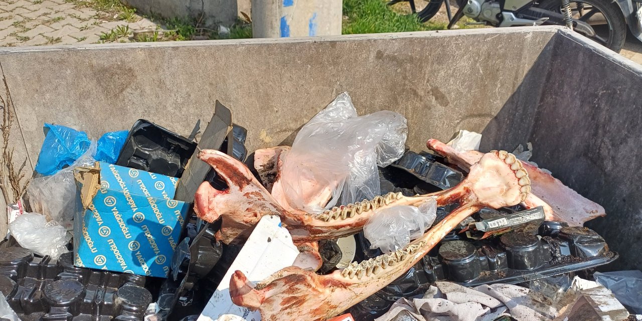 Çöpte at eti bulunmuştu,o anlar güvenlik kamerasında