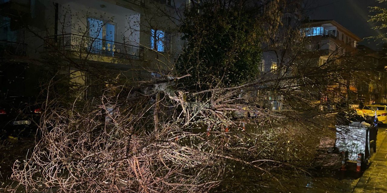 Fırtınada ağaçlar devrildi,sokak trafiğe kapatıldı