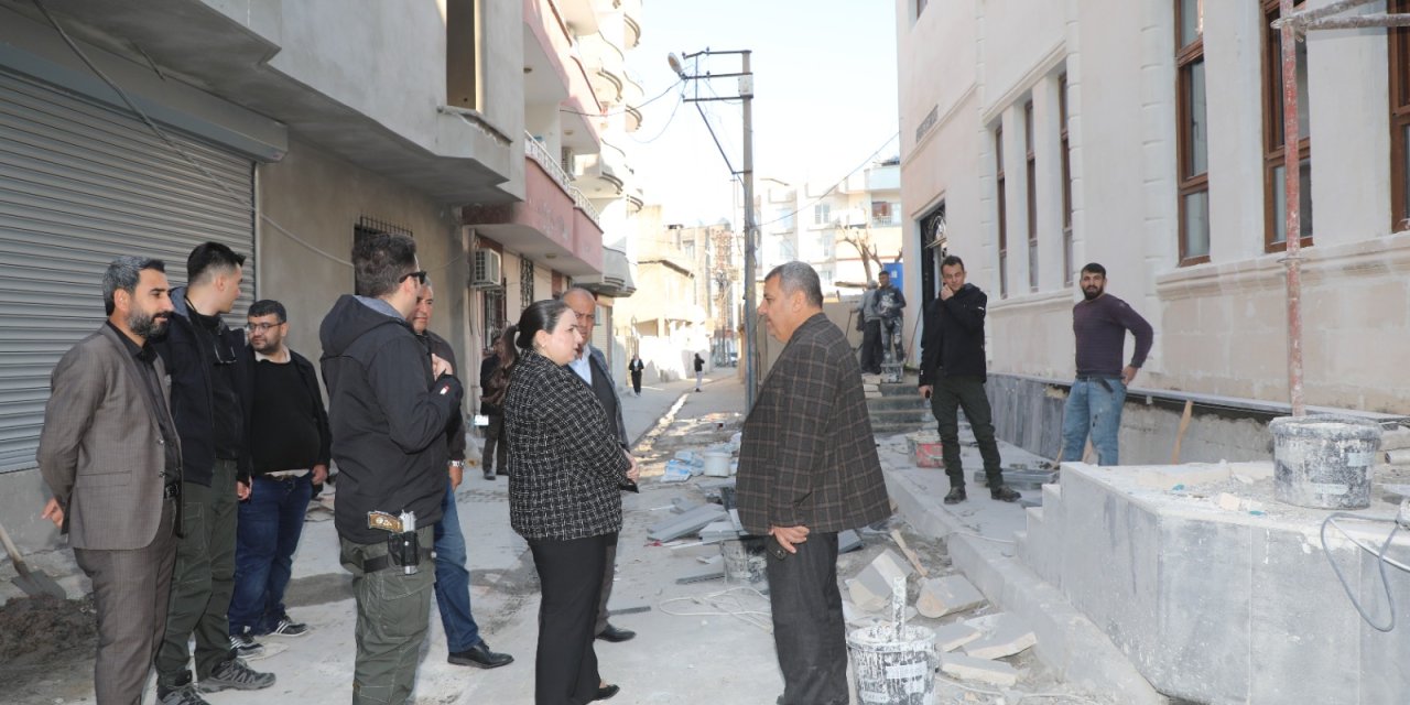 Cizre Kaymakamı Demir, Taziye Evi çalışmalarını denetledi