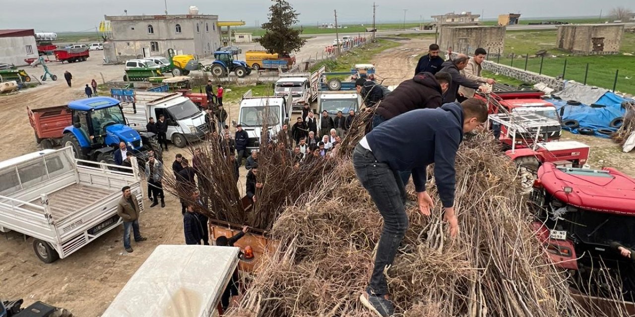 İzmirli İş İnsanından Cizreli Çiftçilere Meyve Fidesi desteği