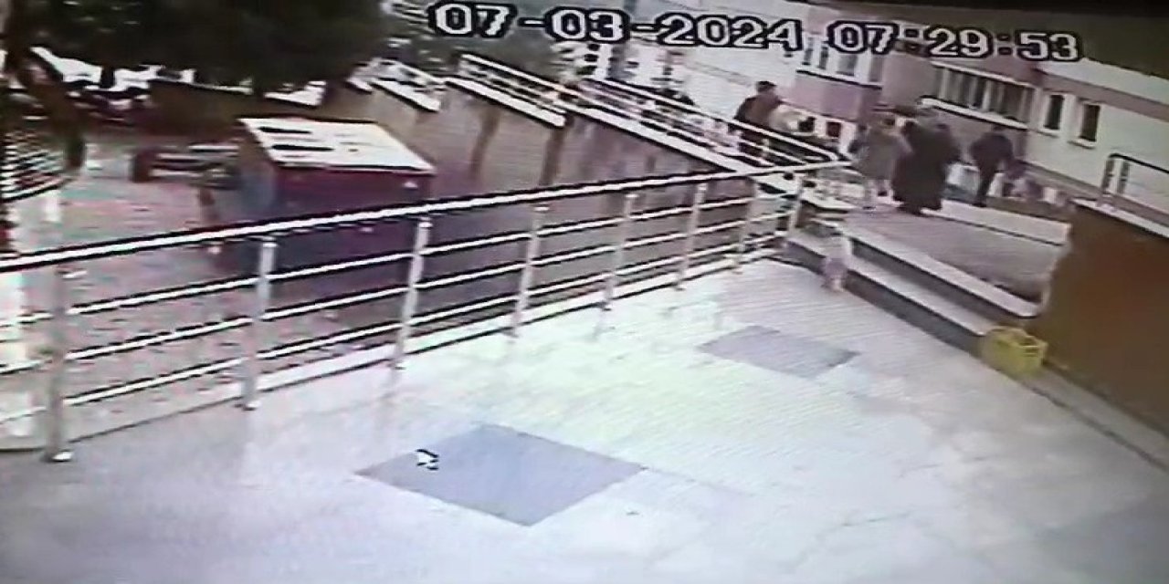 Sokak kedisine çarptılar 14 bin 432 lira ceza aldılar