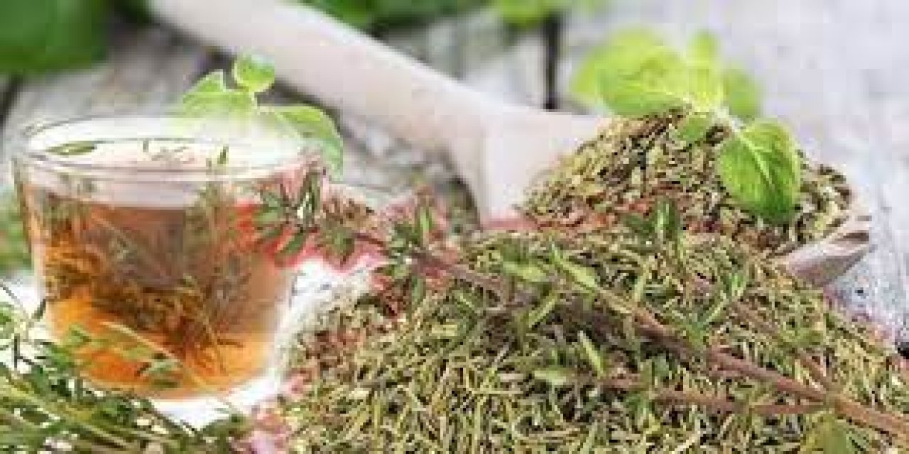 Kekik çayı  nasıl hazırlanır? Kekik çayının işte vücuda sağladığı 10 fayda