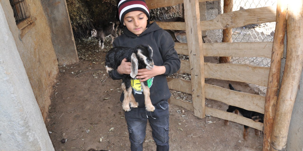 Bu köyde tek bir çocuk yaşıyor onunda tek arkadaşı 'Pamuk' adını verdiği oğlak