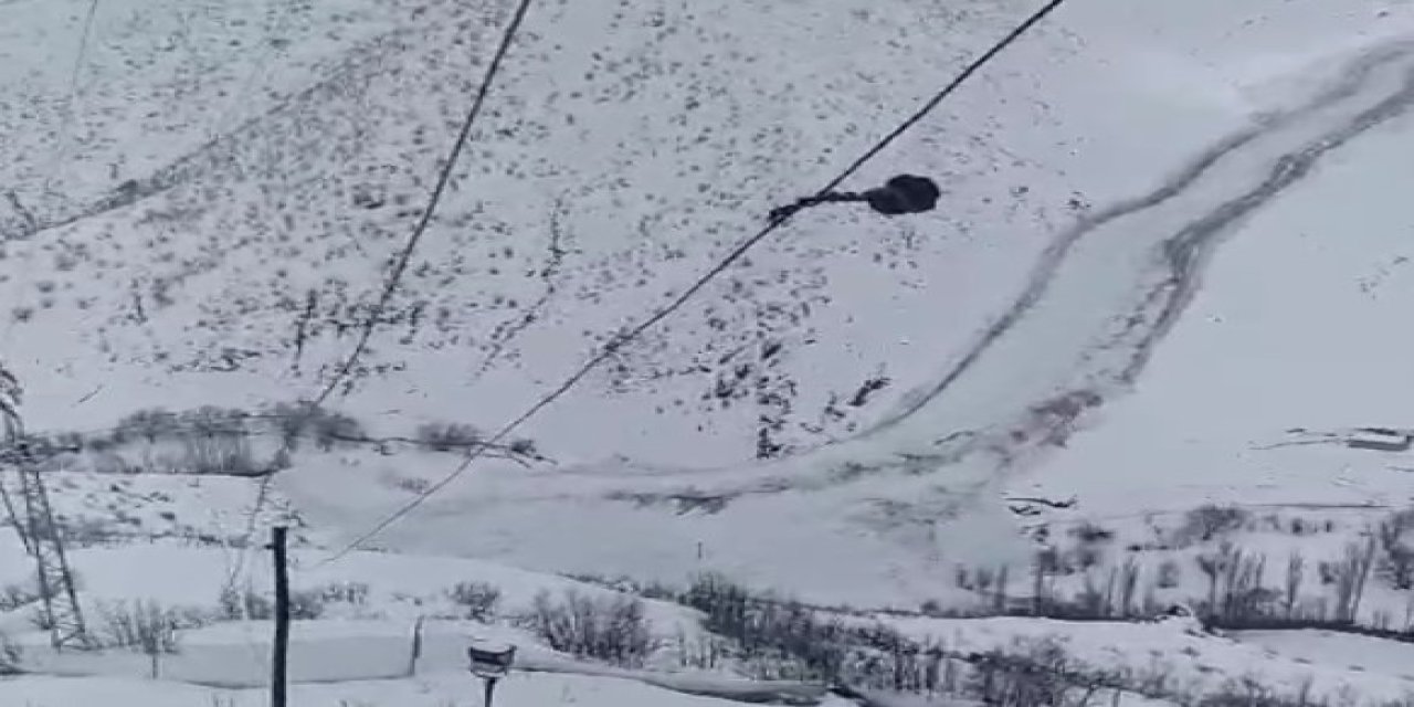 Beytüşşebap’ta çığ düştü köy yolu ulaşıma kapandı